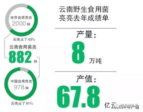 优化产品渠道 揭秘瑞品菌菇干货品质